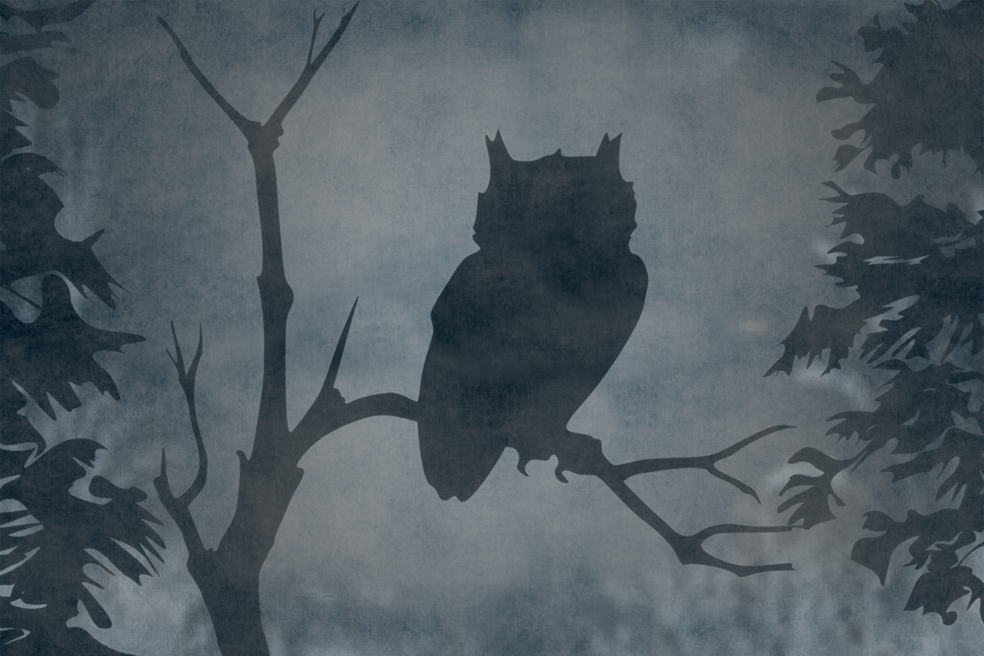owl silhouette bird free photo