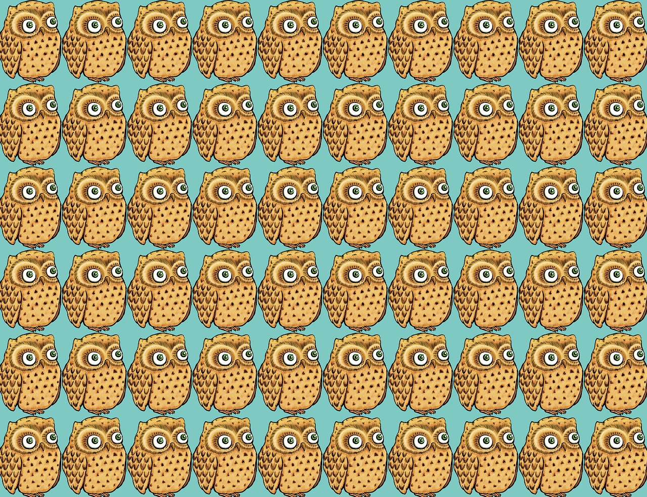 owl wallpaper owl wallpaper free photo