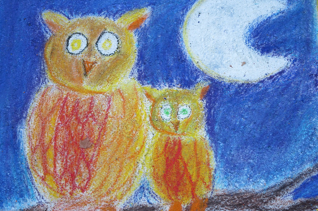 owls chalk art night free photo
