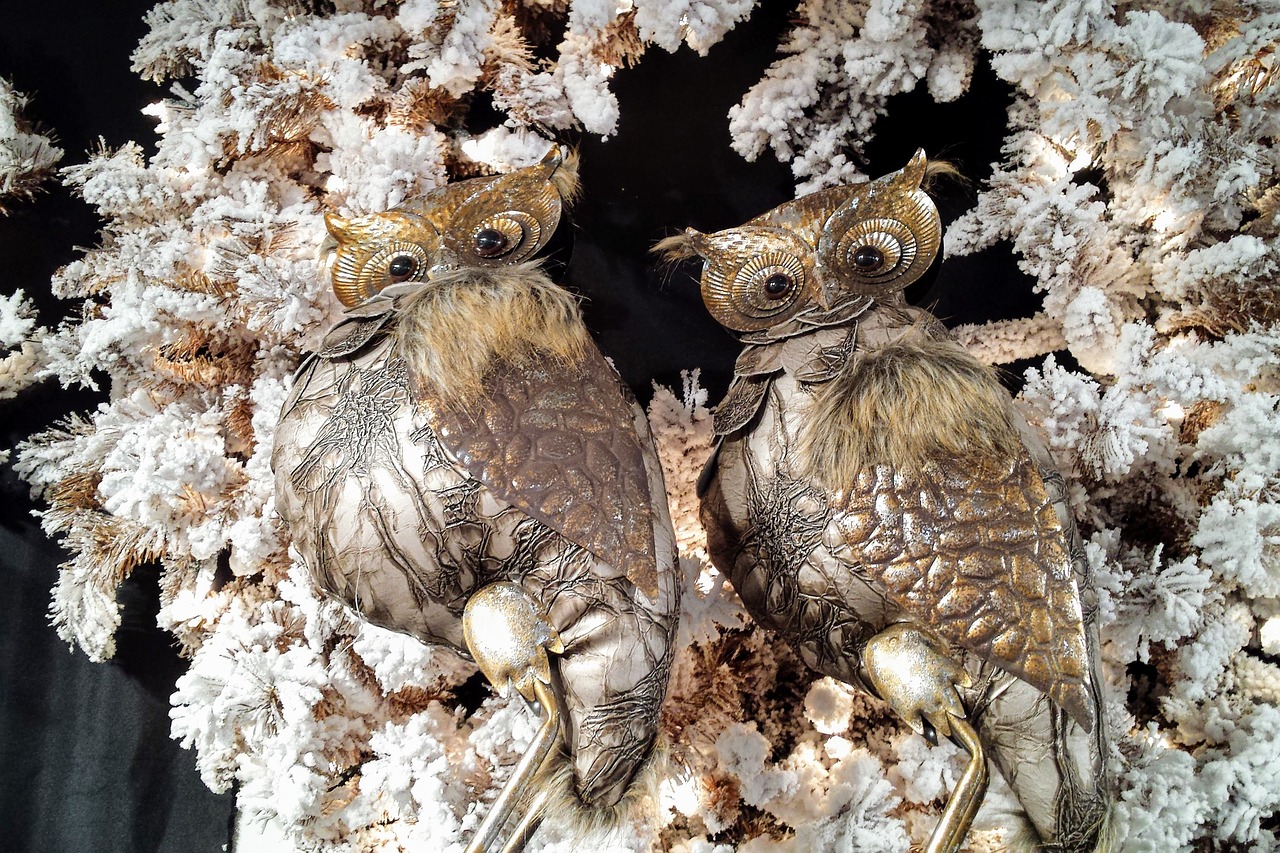 owls decoration christmas free photo