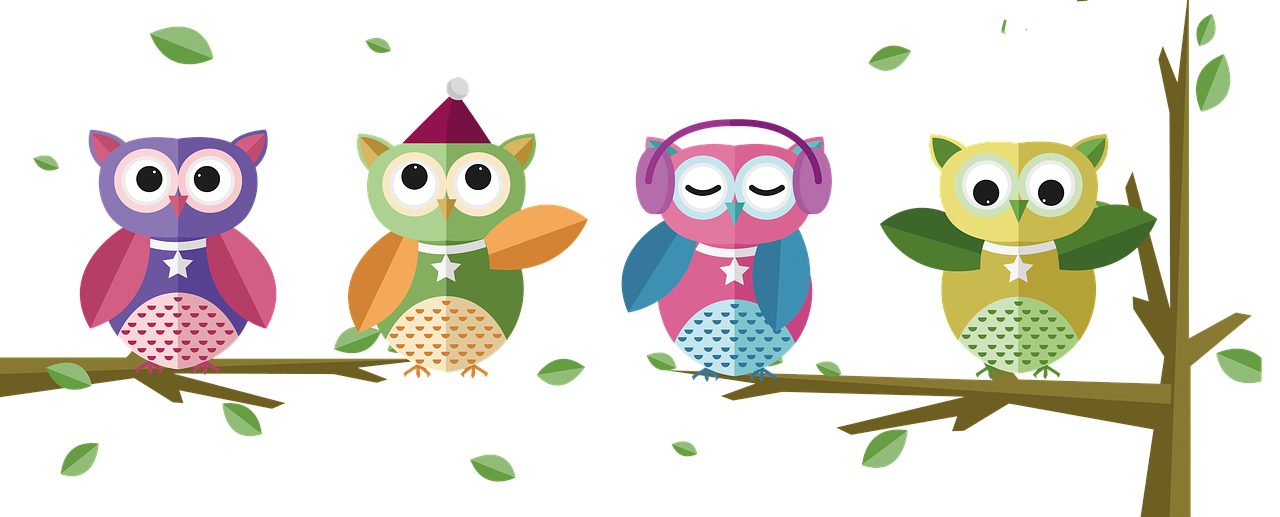 owls  design  music free photo