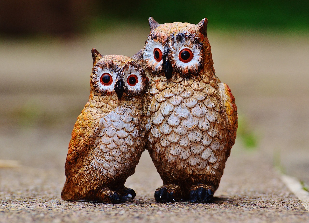 owls birds figures free photo