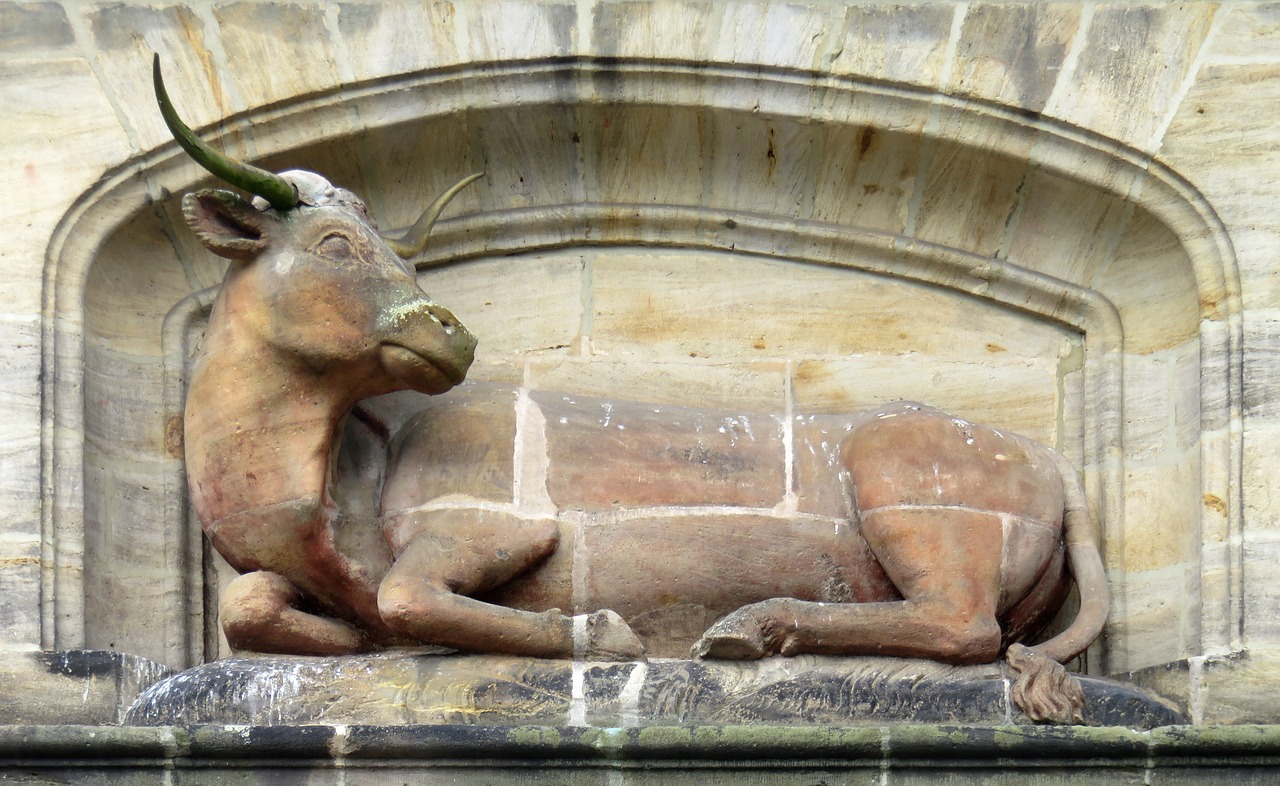 ox sculpture bamberg free photo