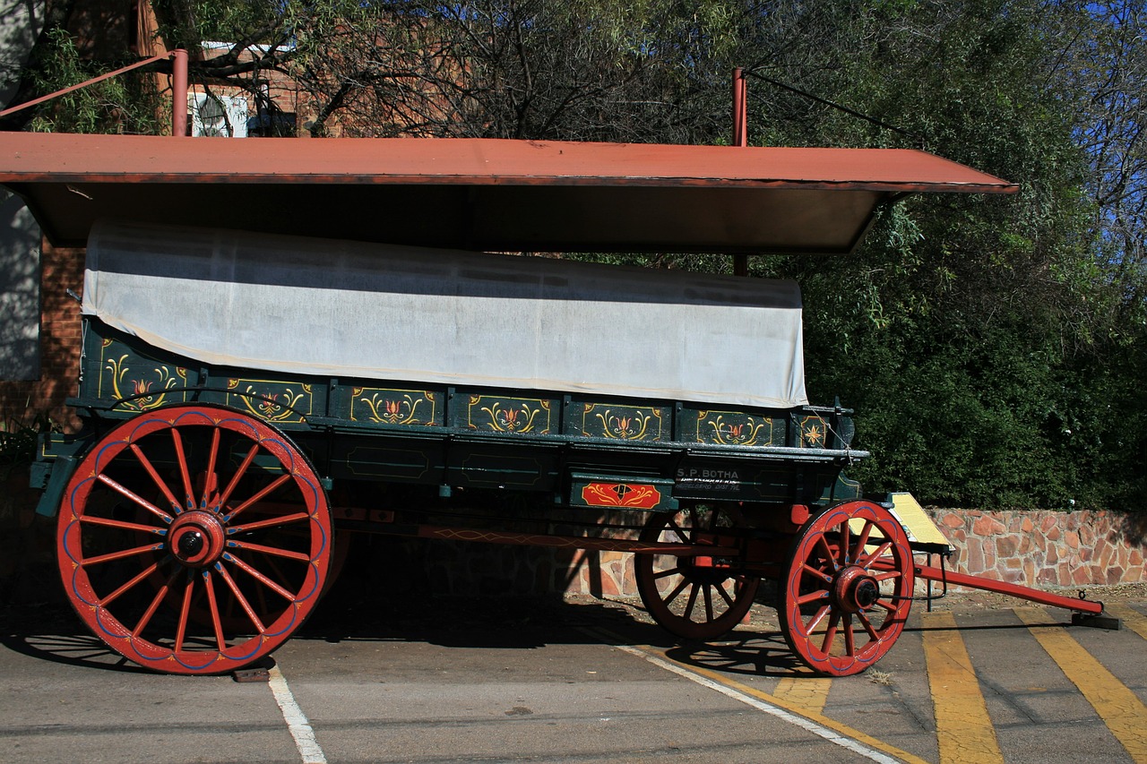 ox wagon wagon ox free photo