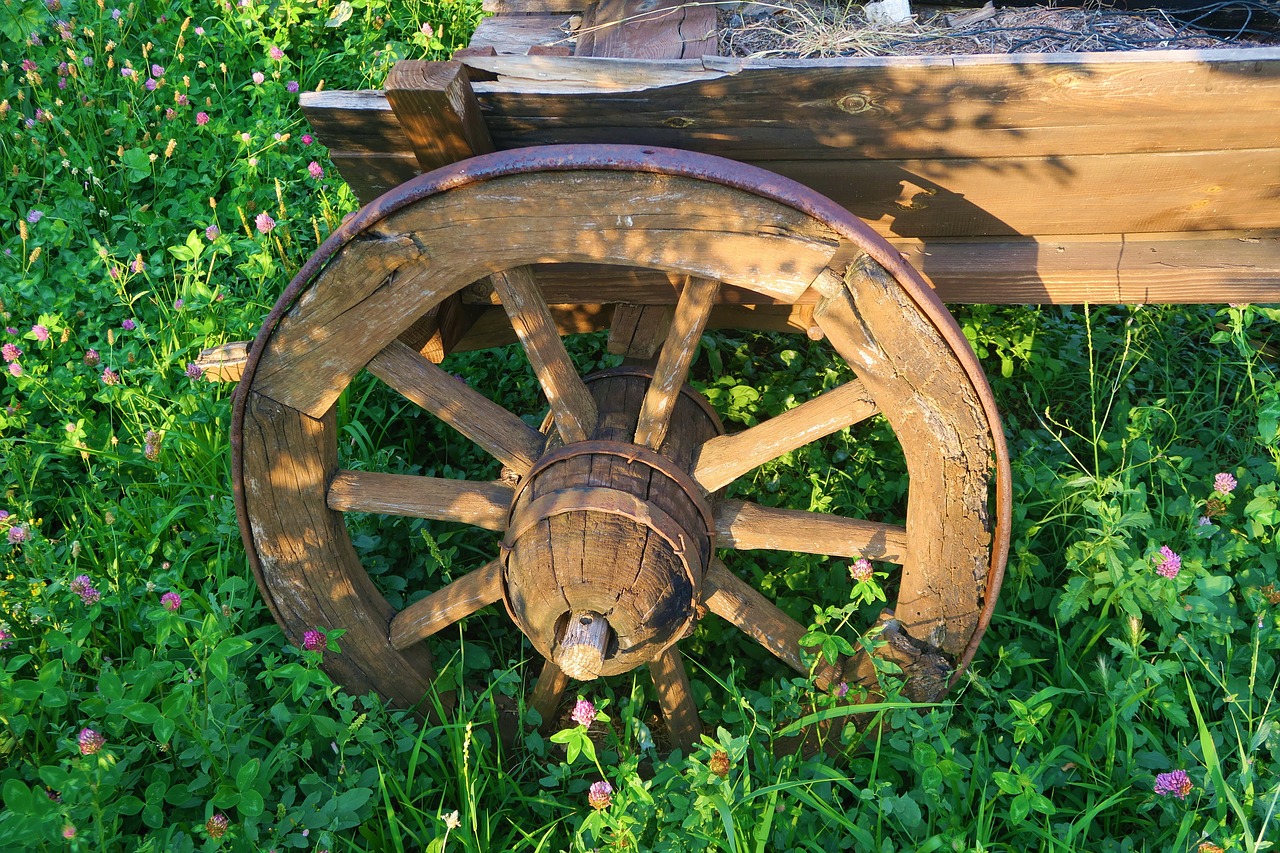 oxcart  wheel  old free photo