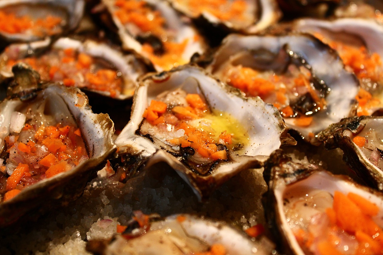 oyster kitchen shells free photo