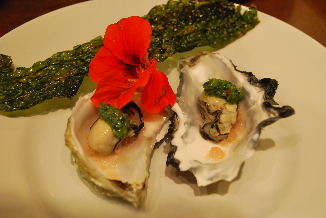 oyster appetizer seafood free photo