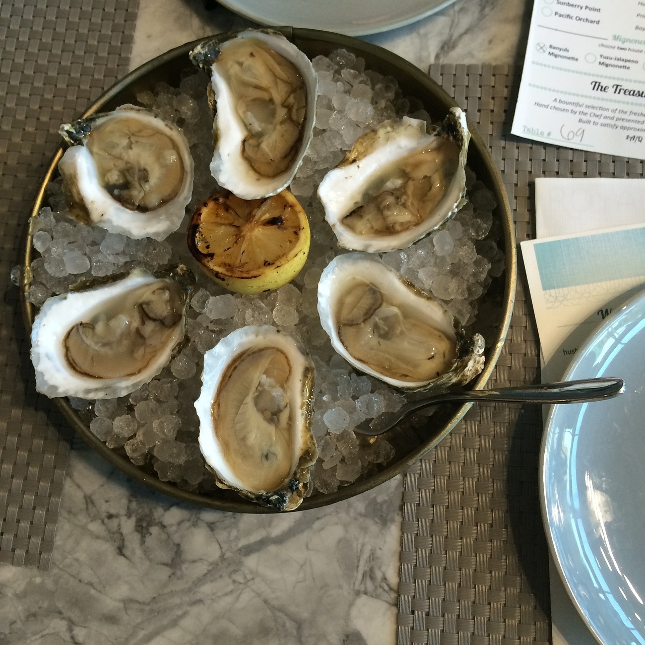 oysters seafood shellfish free photo