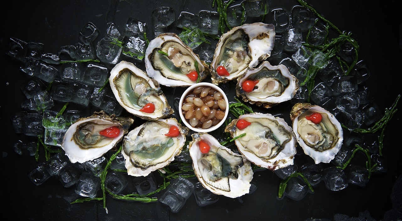 oysters delicacy food free photo