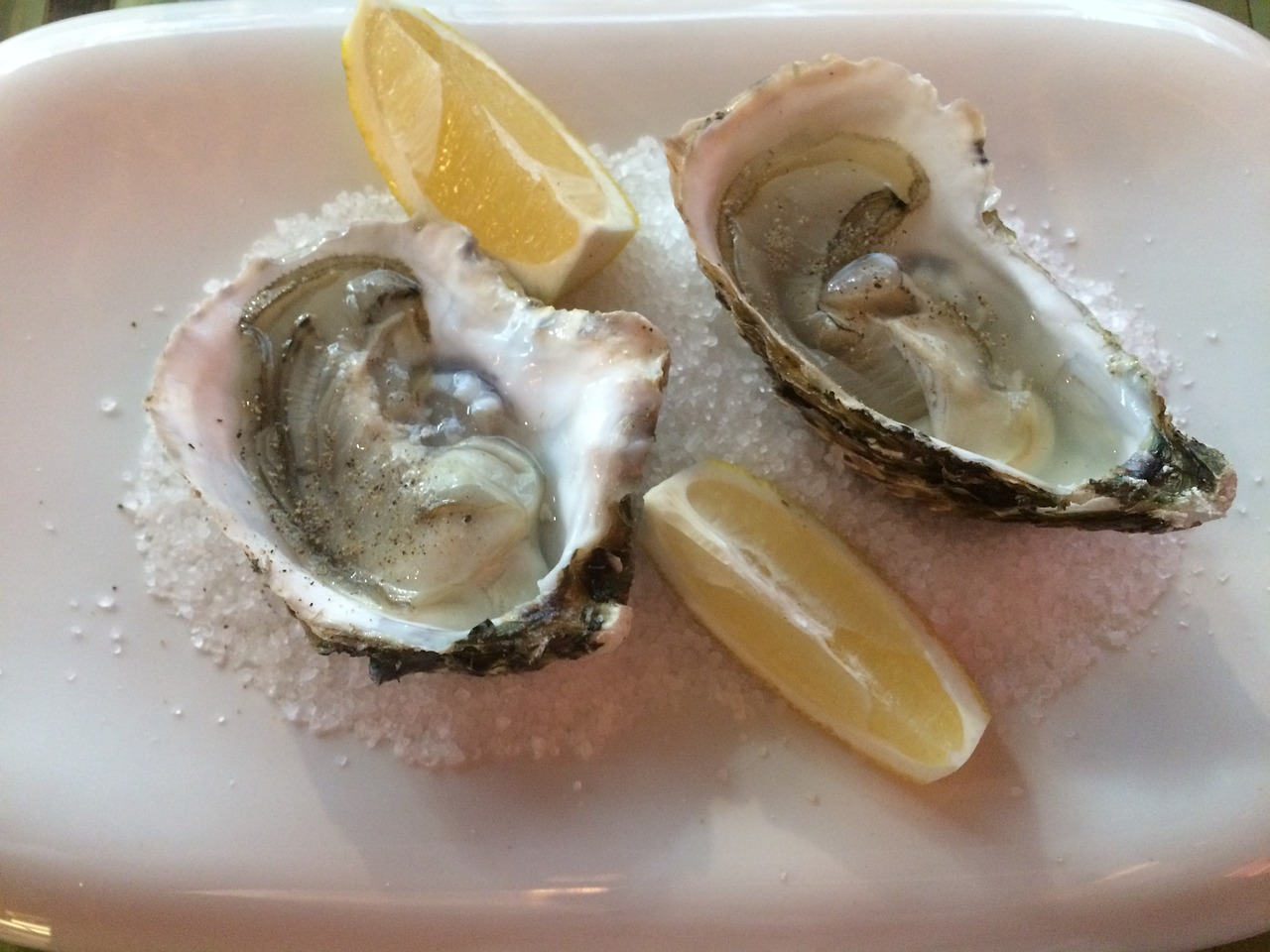 oysters dish food free photo