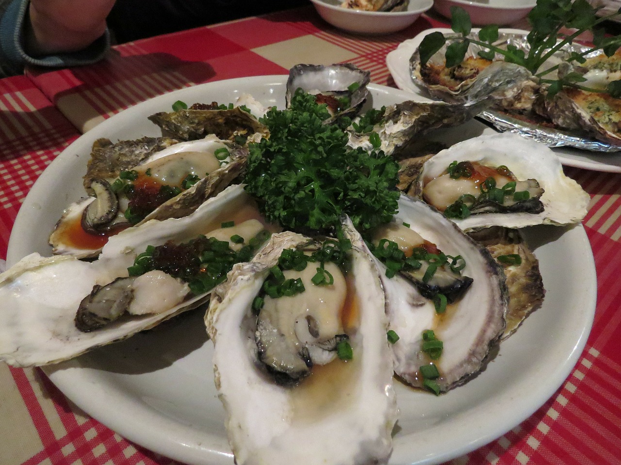 oysters food japanese free photo