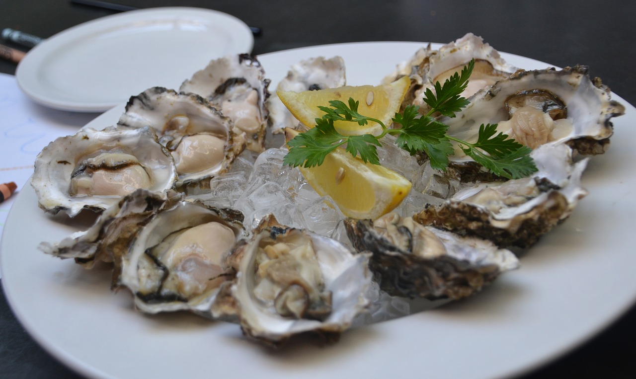 oysters  food  oyster free photo