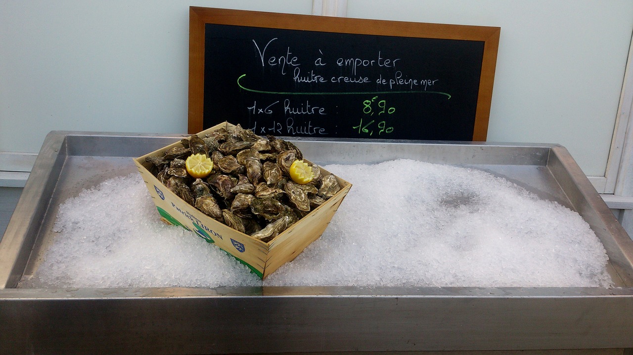 oysters etretat france free photo