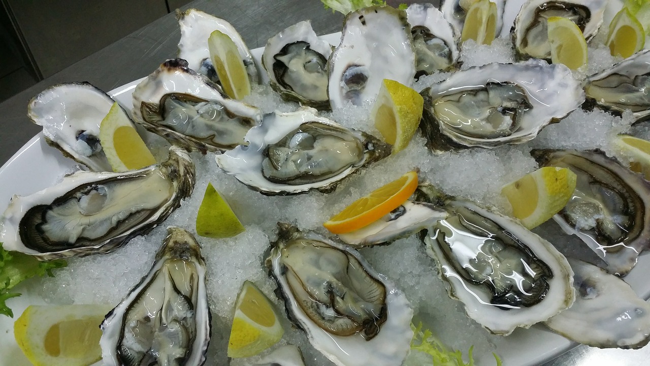 oysters haute cuisine food free photo