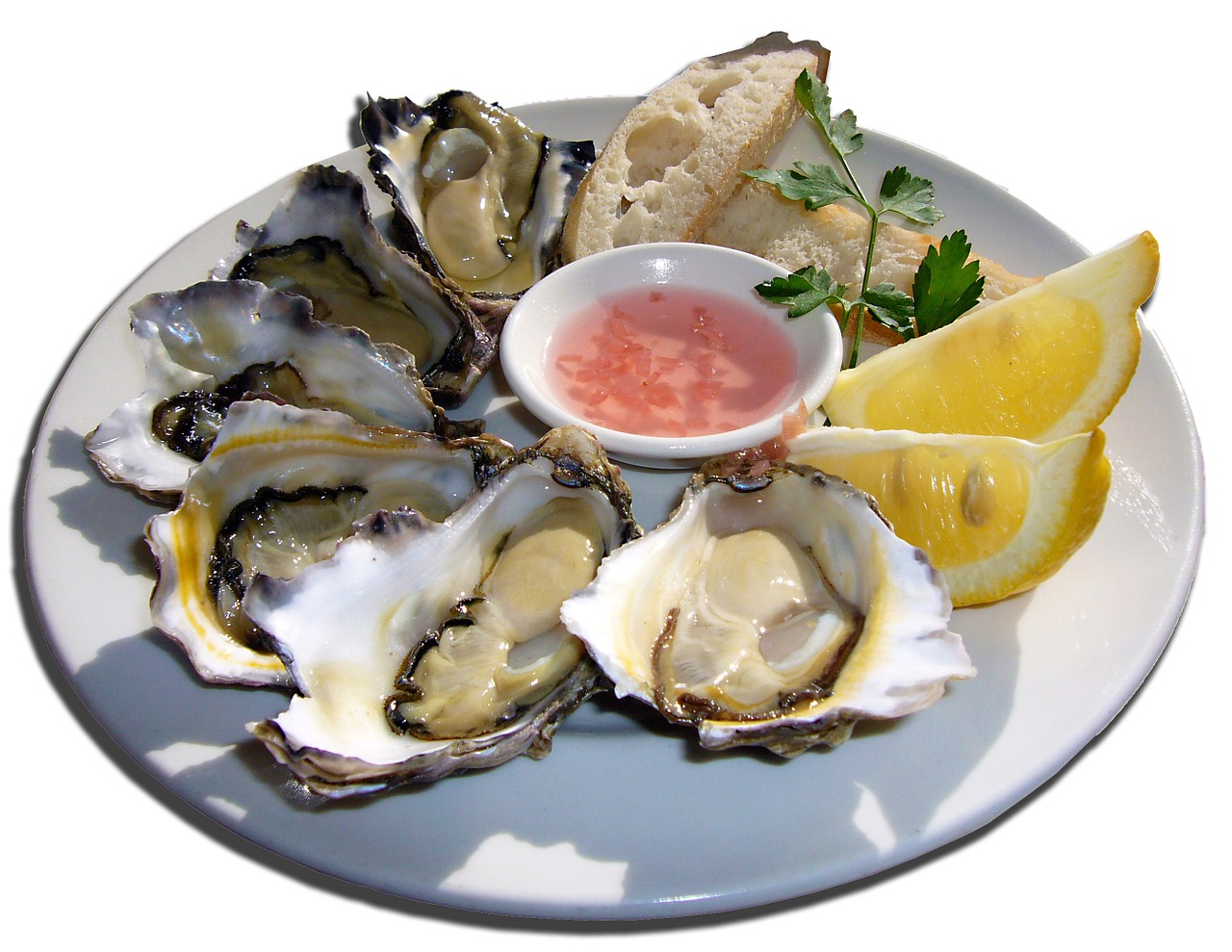 oysters mussels delicacy free photo