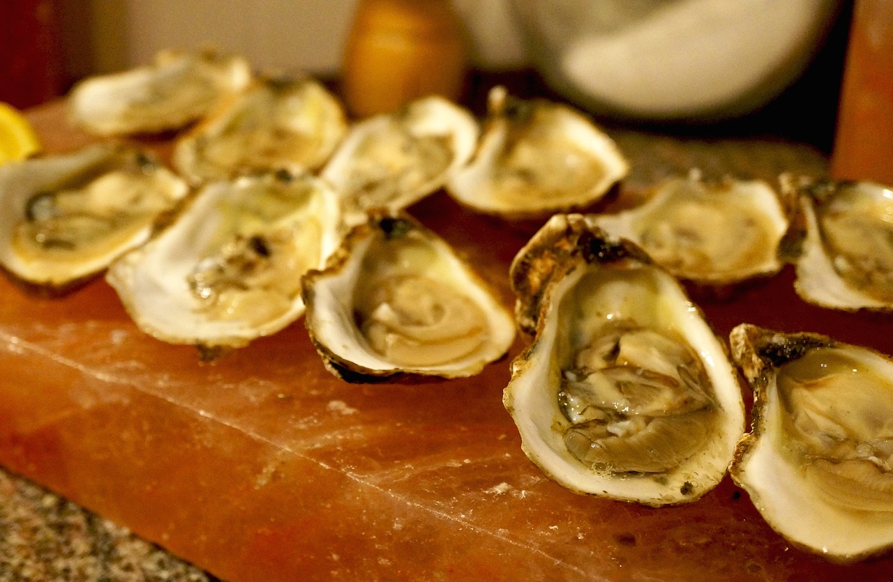 oysters seafood shells free photo