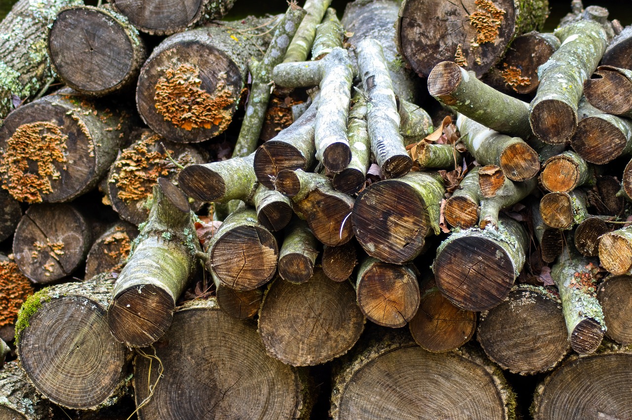 ozark firewood  firewood  logs free photo