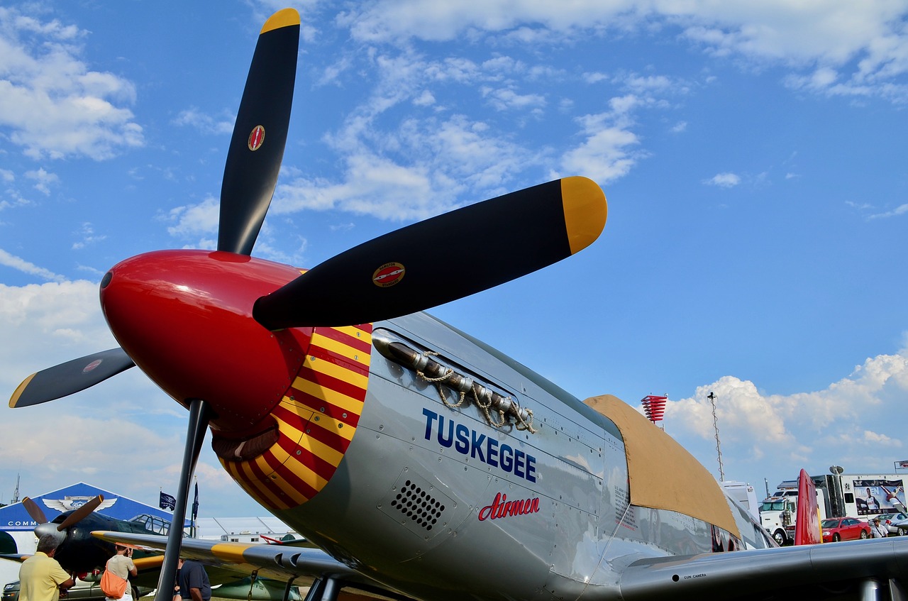 p-51 mustang fighter free photo