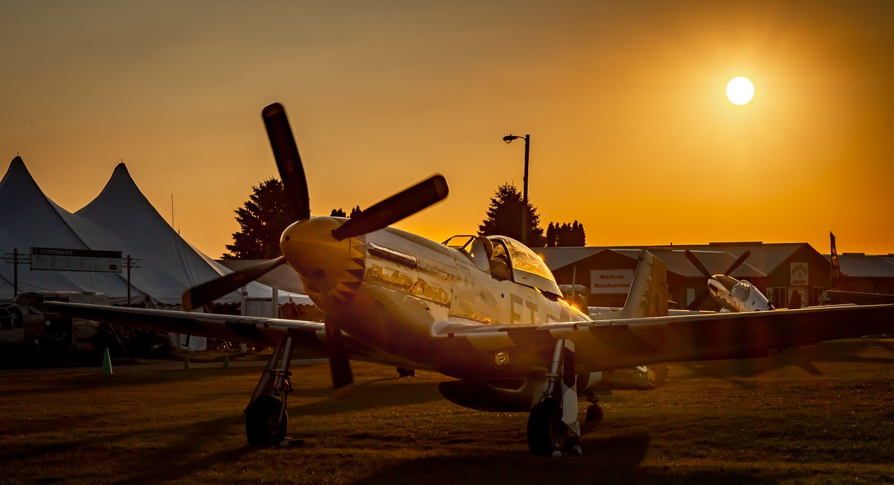 p-51  military  fighter free photo
