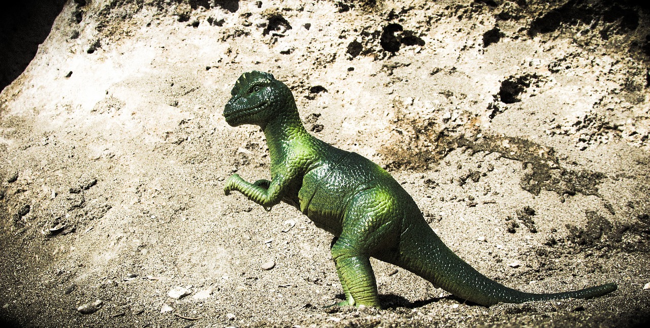 pachycephalosaurus dinosaur animal free photo