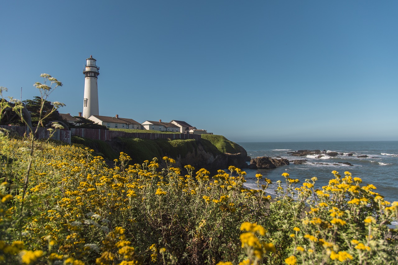 pacific  ocean  nature free photo