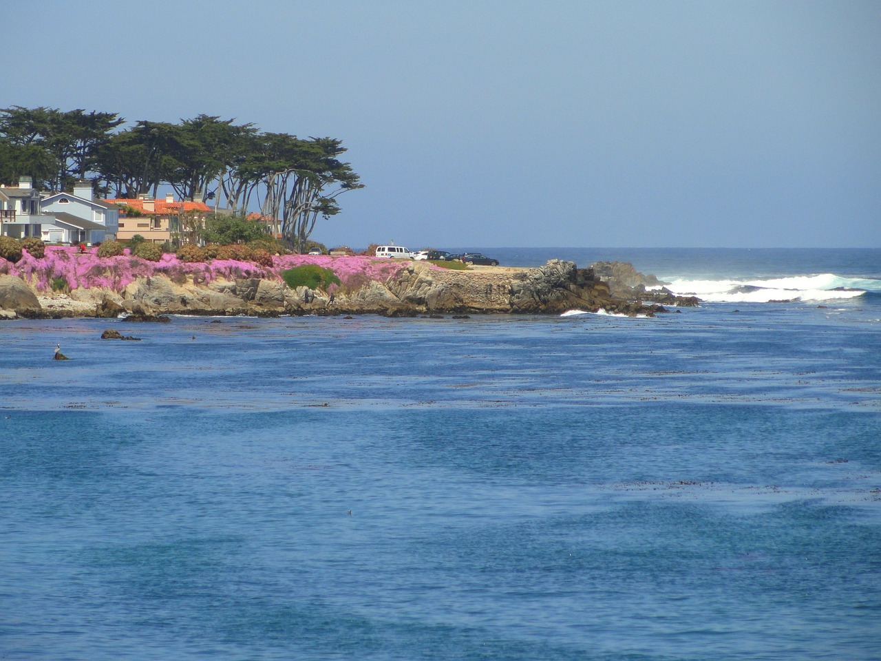 pacific grove california sea free photo