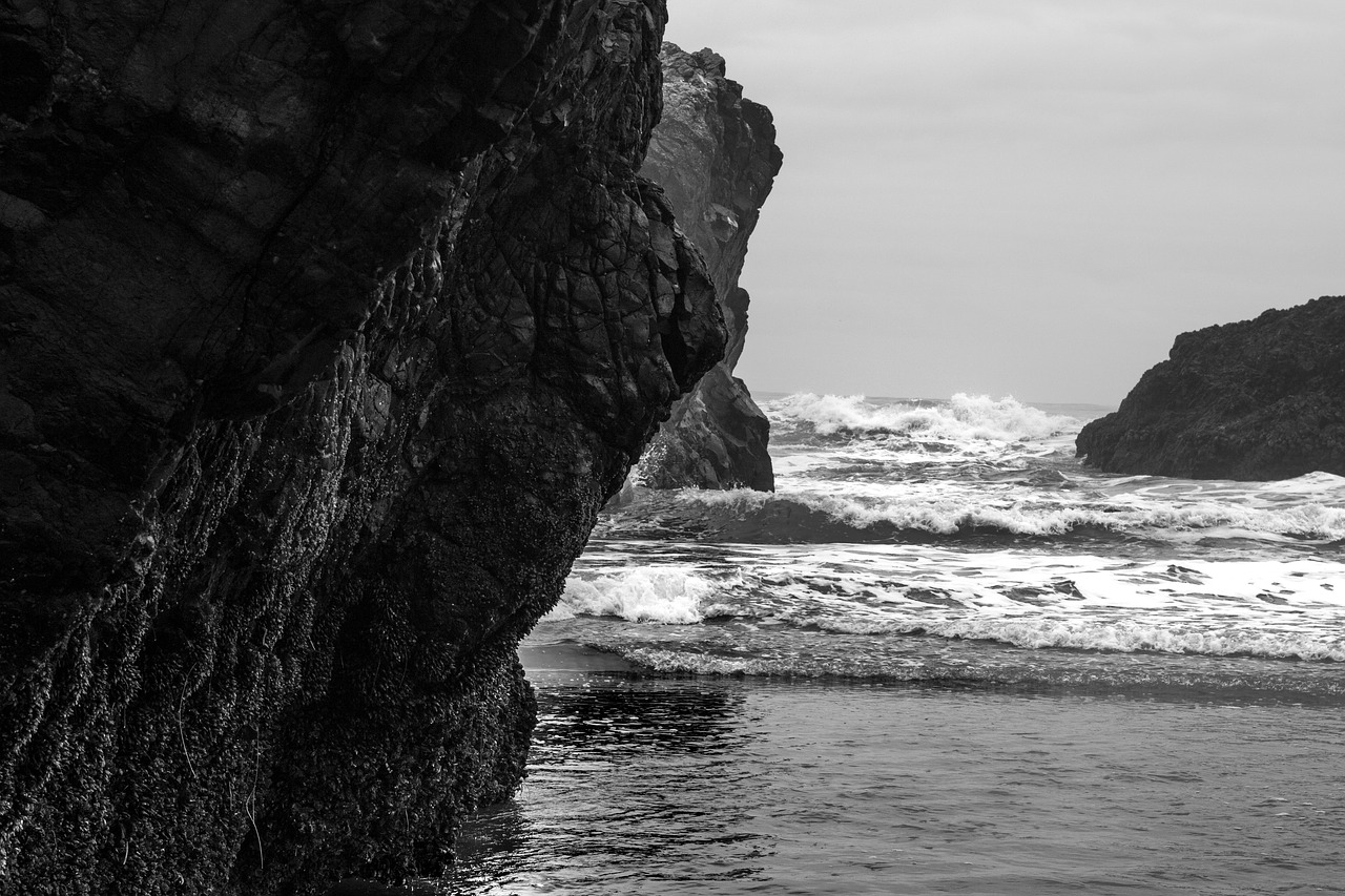 pacific ocean  beach  rocks free photo