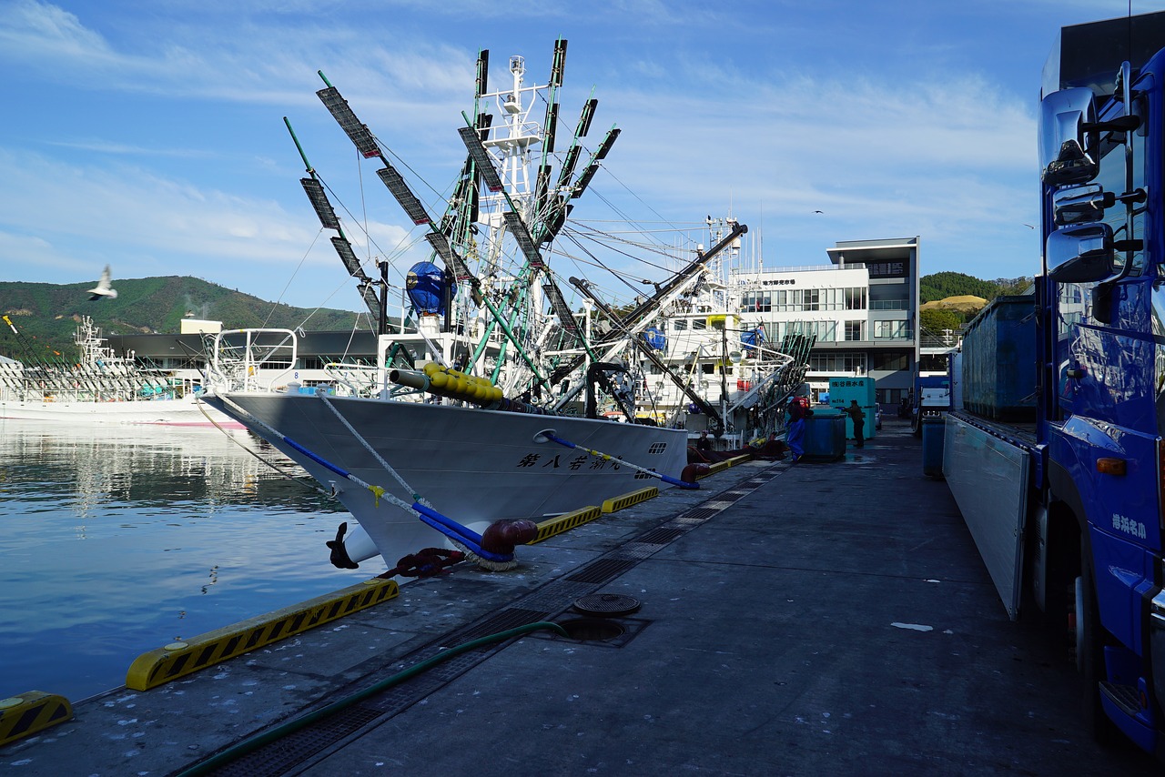 pacific saury fish fishing boat free photo