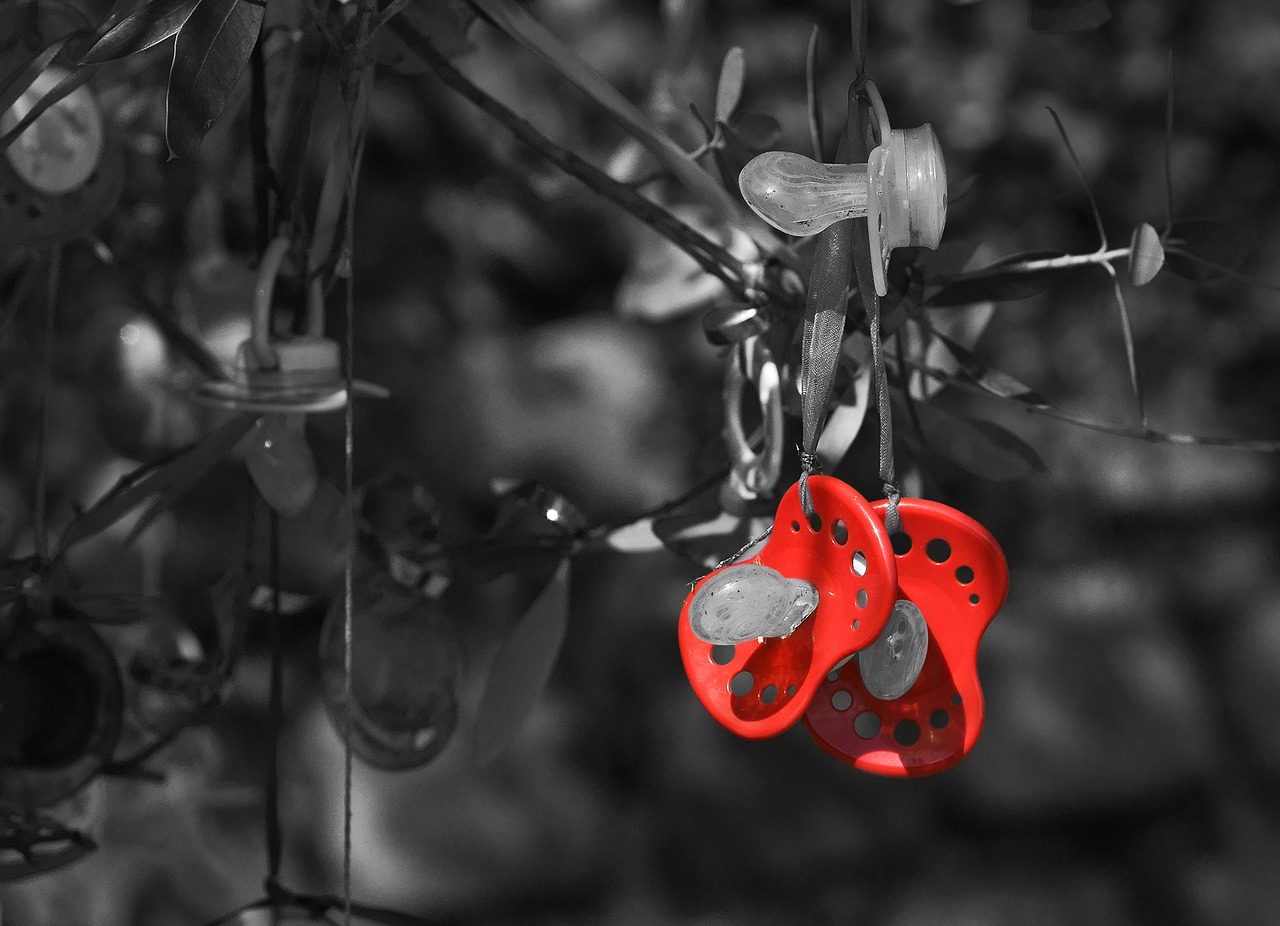 pacifier pacifier tree tradition free photo