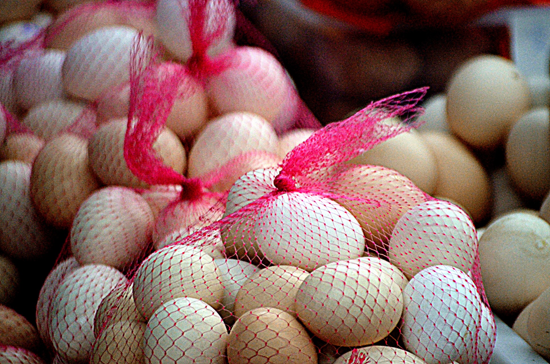 food eggs egg free photo