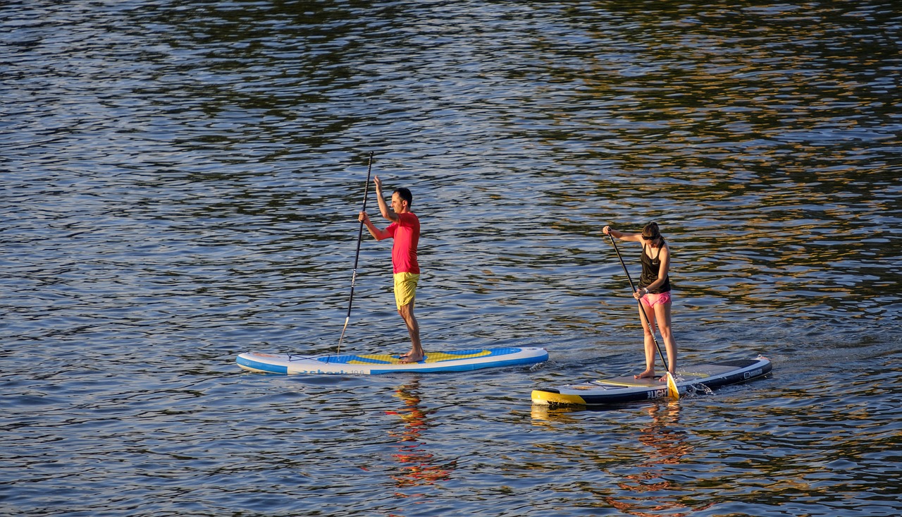 padding  stand paddle  stand up paddle surfing free photo