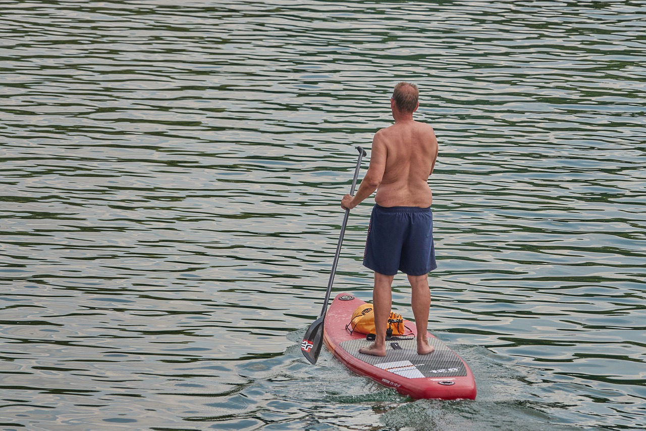 paddle  rowing  stand free photo