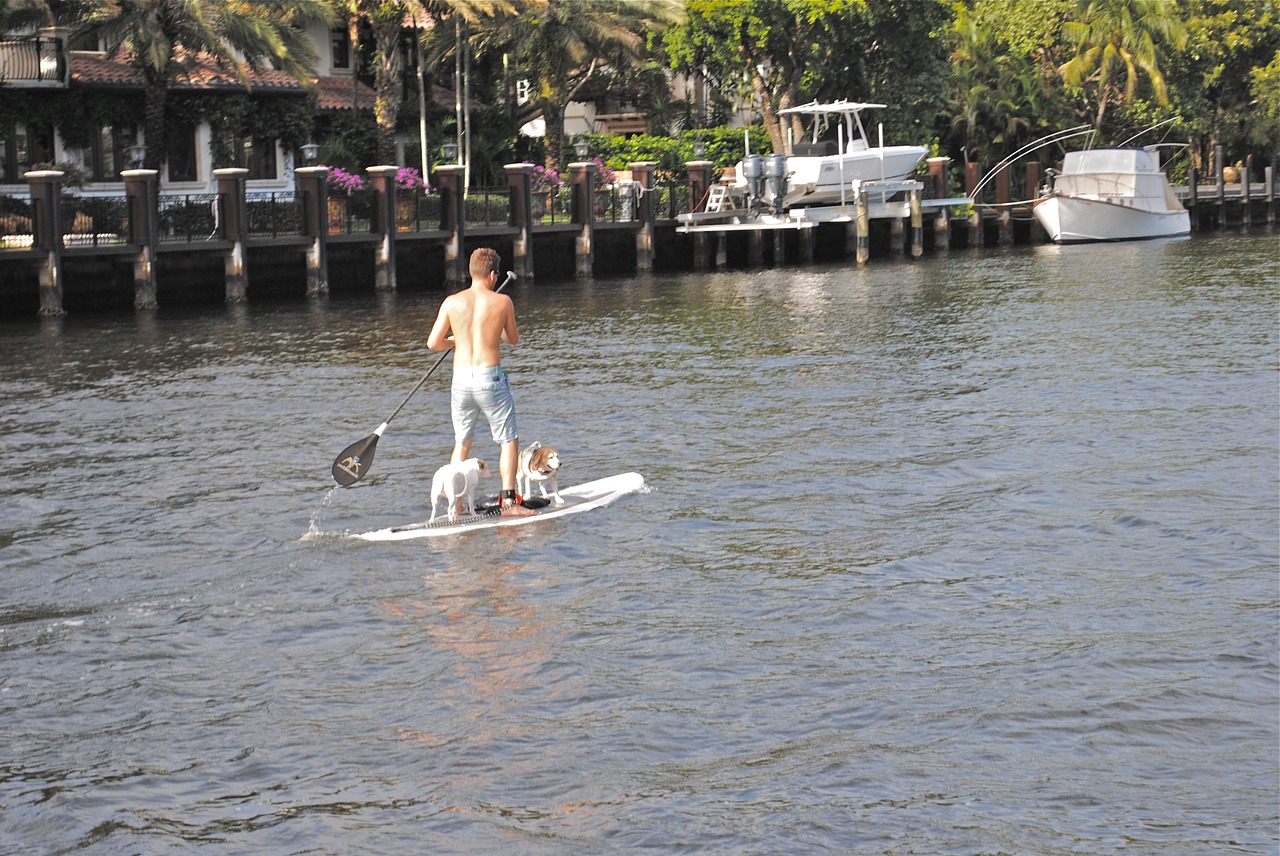 paddle board new river fort lauderdale free photo