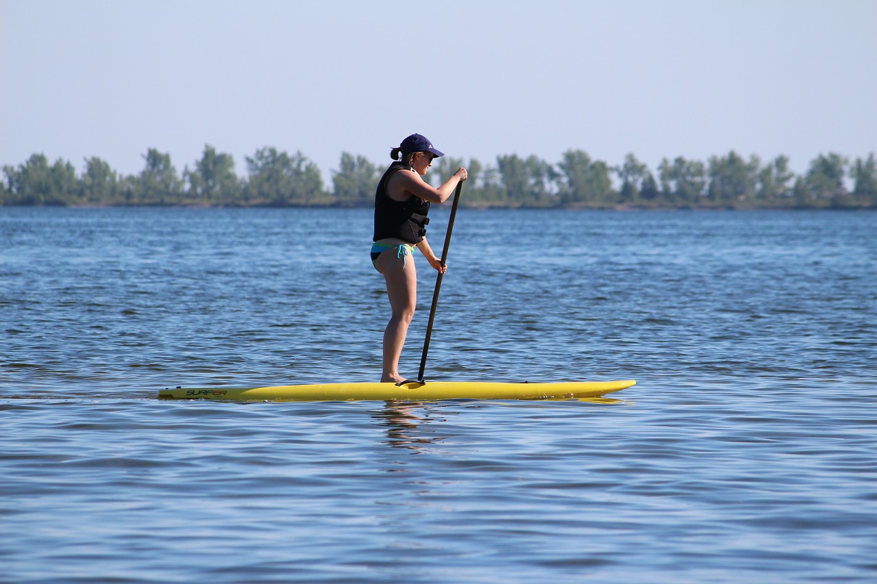 paddle board water summer free photo