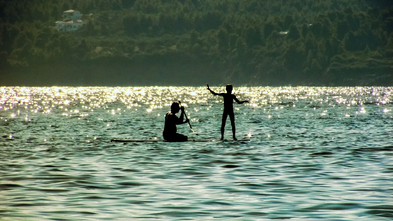 paddle board sea summer free photo