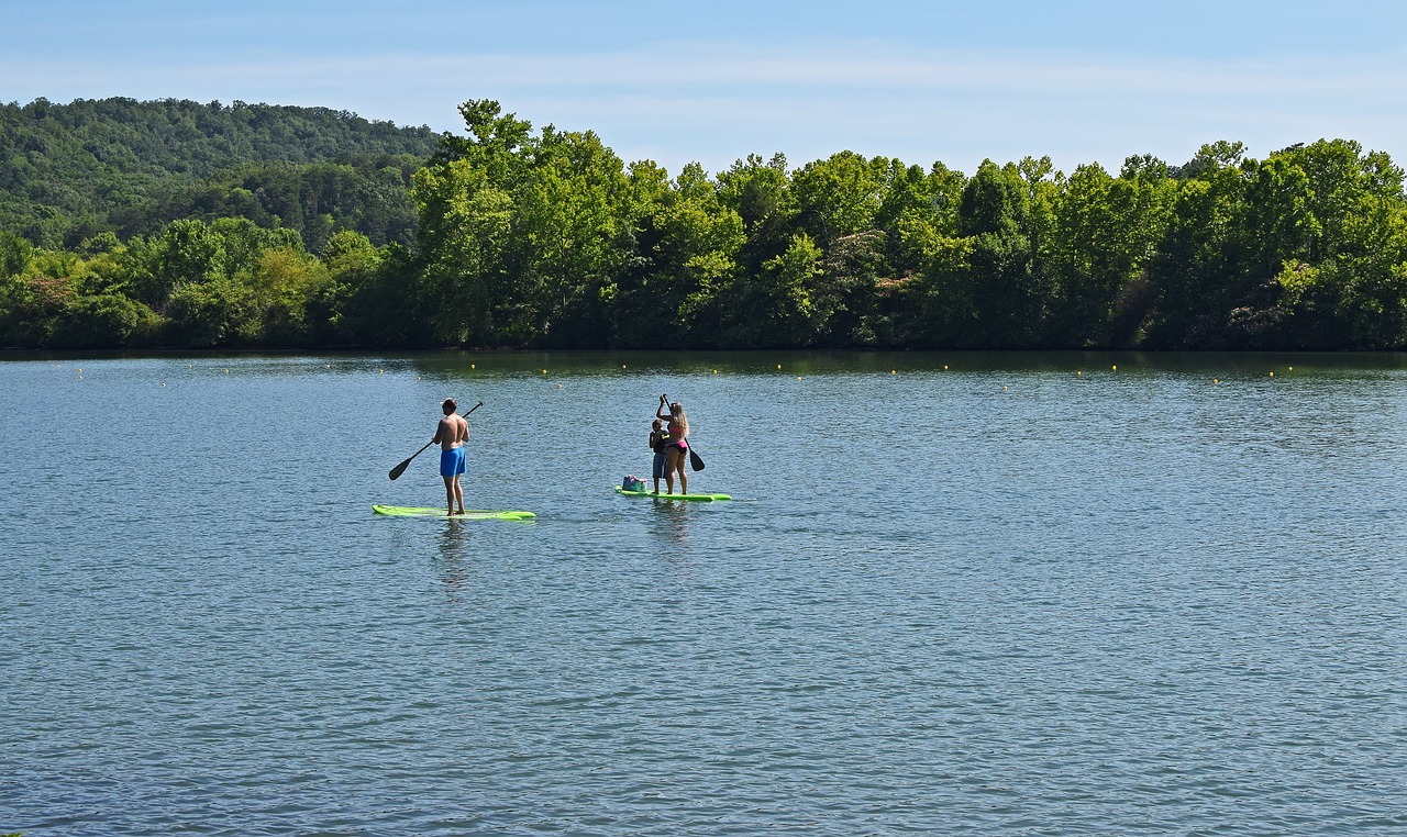 paddle boarding summer fun family free photo