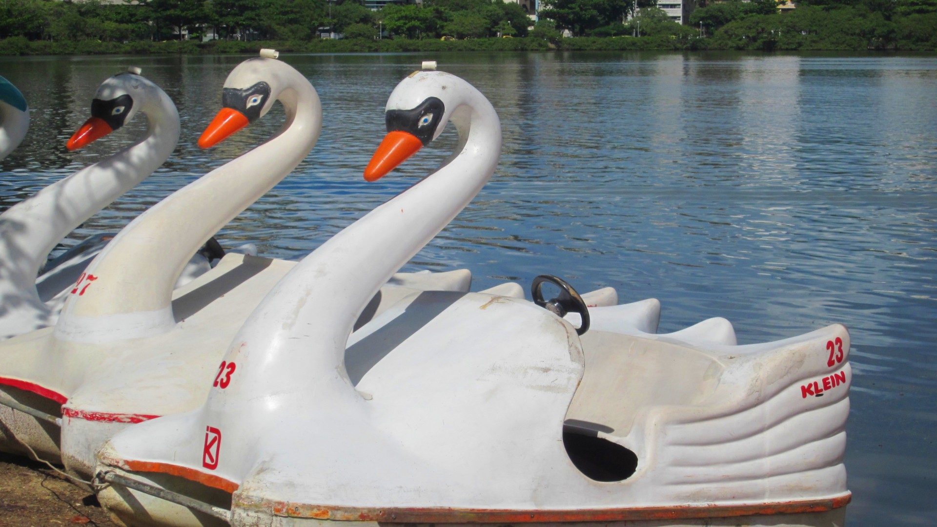 paddle boats water lake free photo