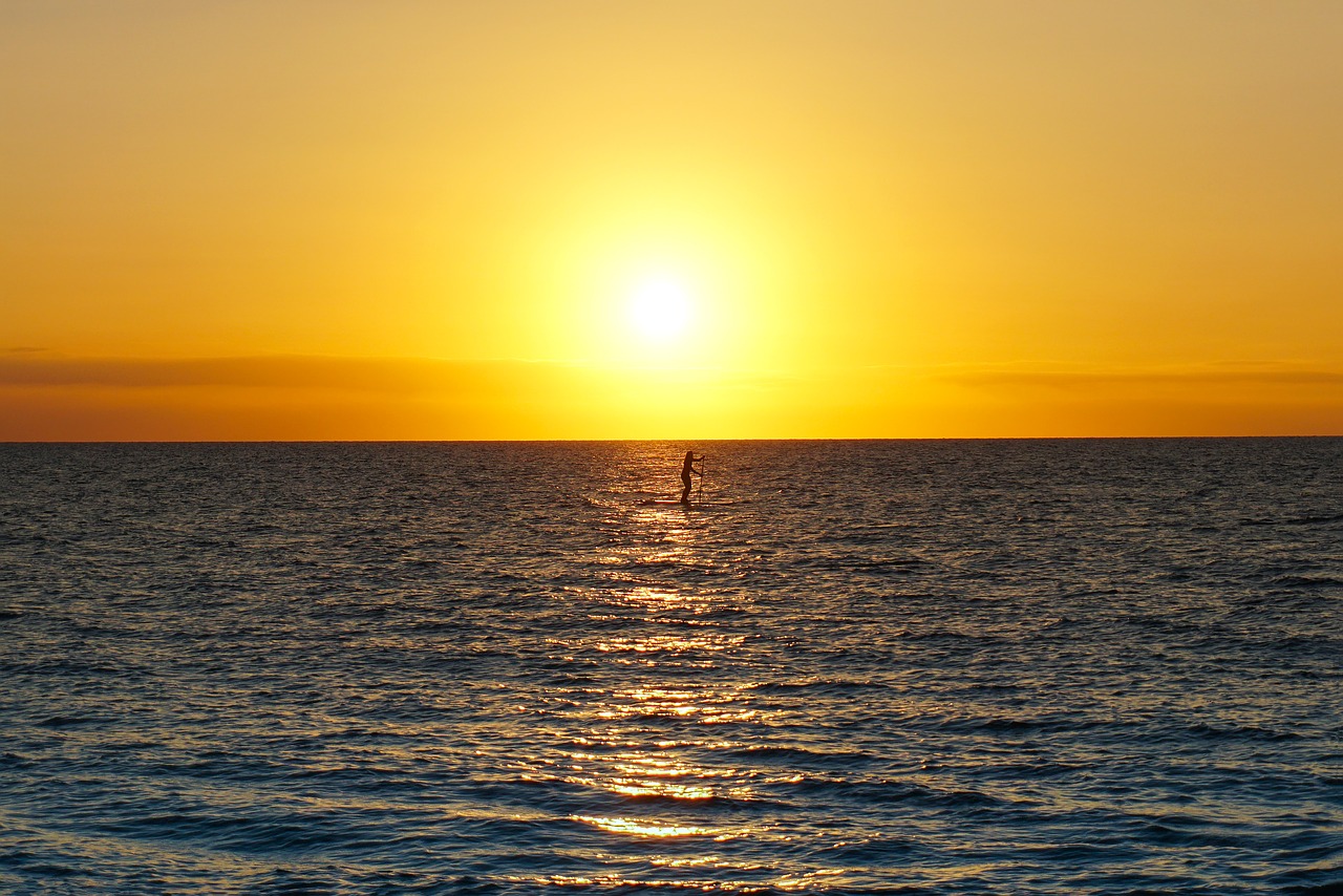 paddleboard sunset maui free photo