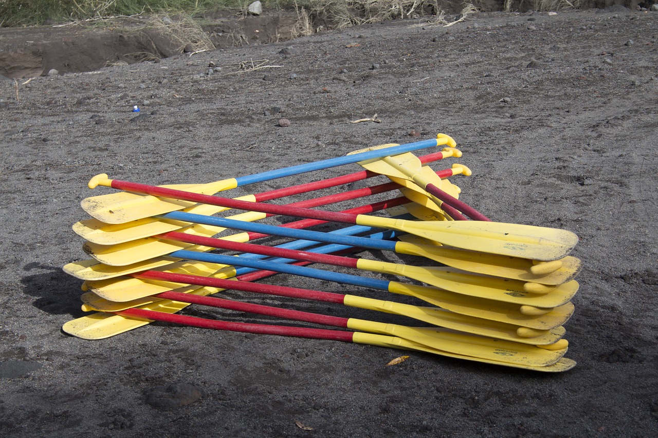 paddles  canoe  recreation free photo