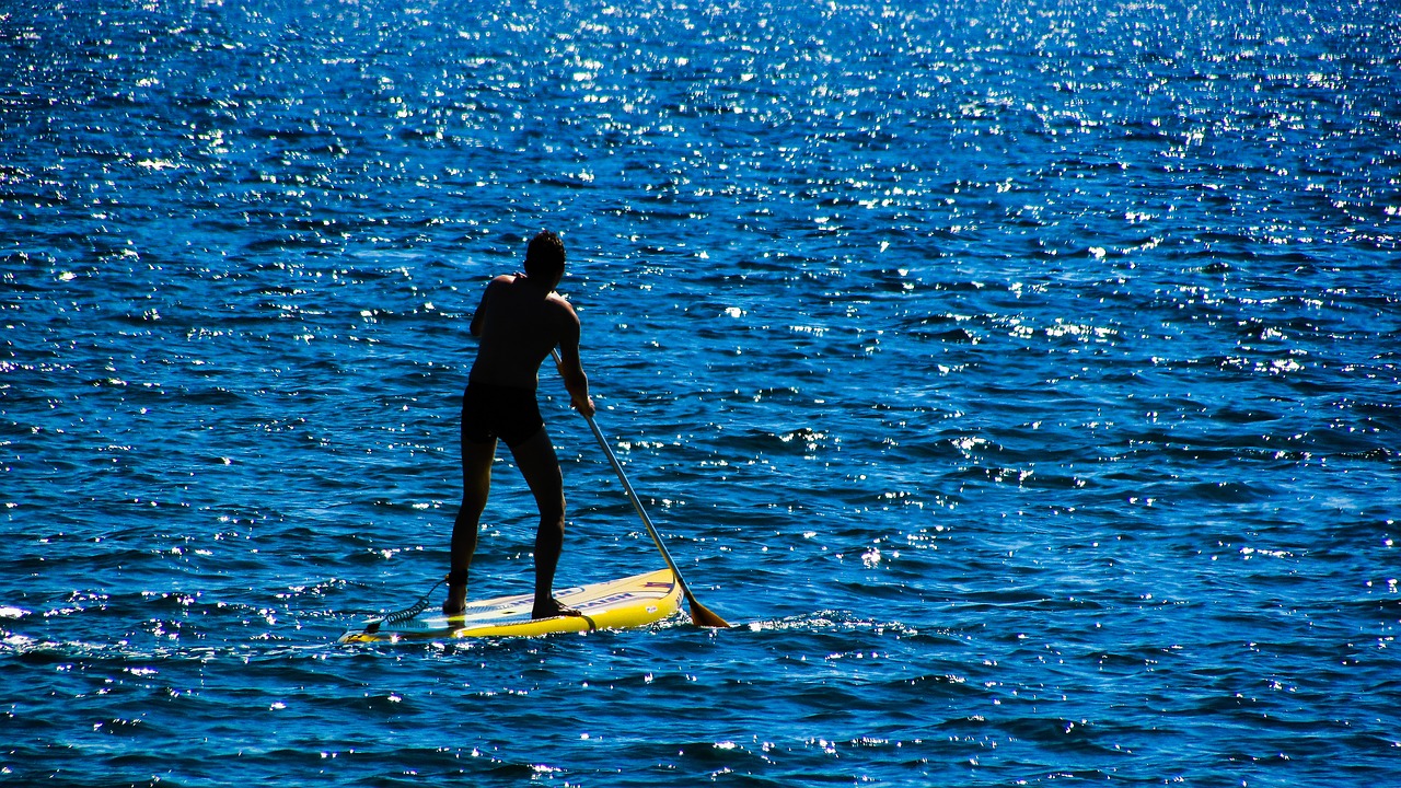 paddling paddleboard board free photo