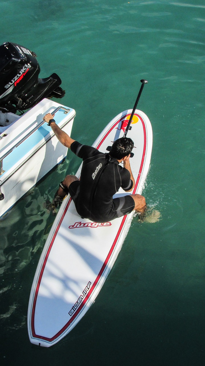 paddling board sport surfer free photo