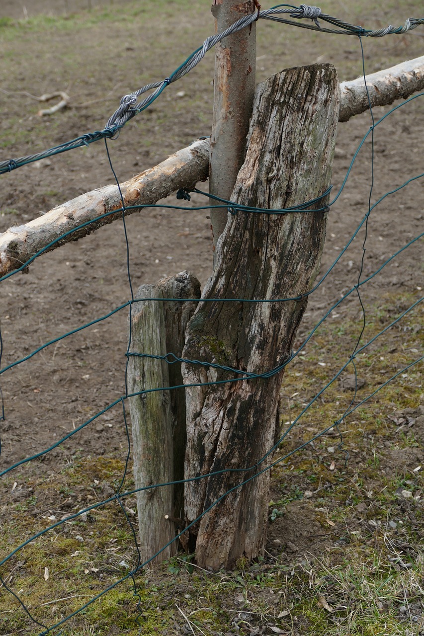 paddock fence wire free photo