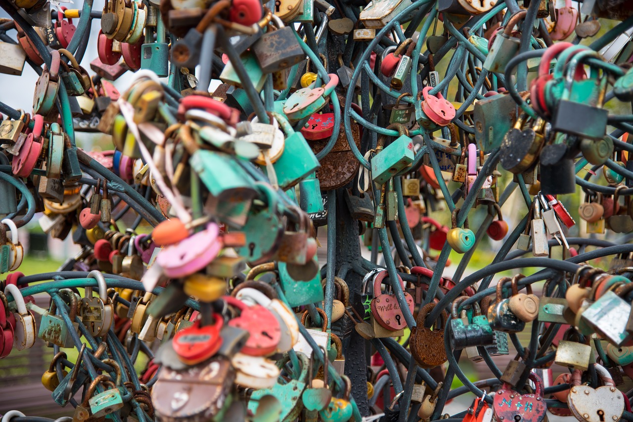 padlock tree wedding free photo