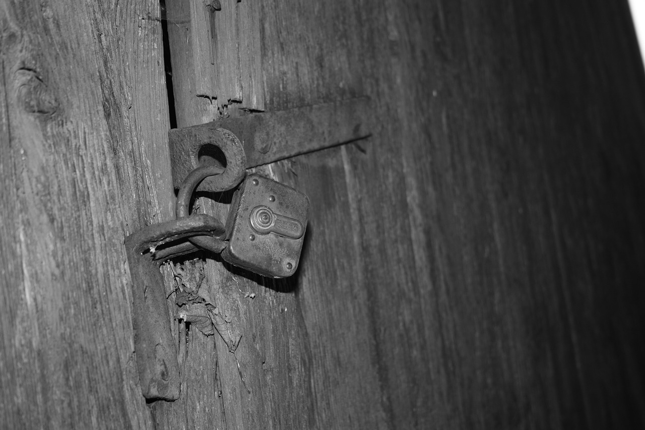 padlock wood scale free photo