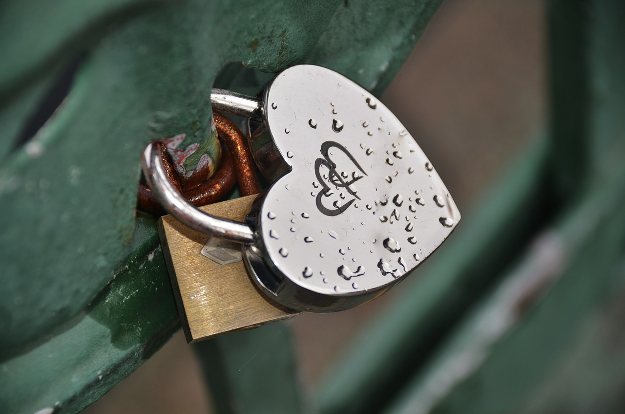 padlock heart close free photo