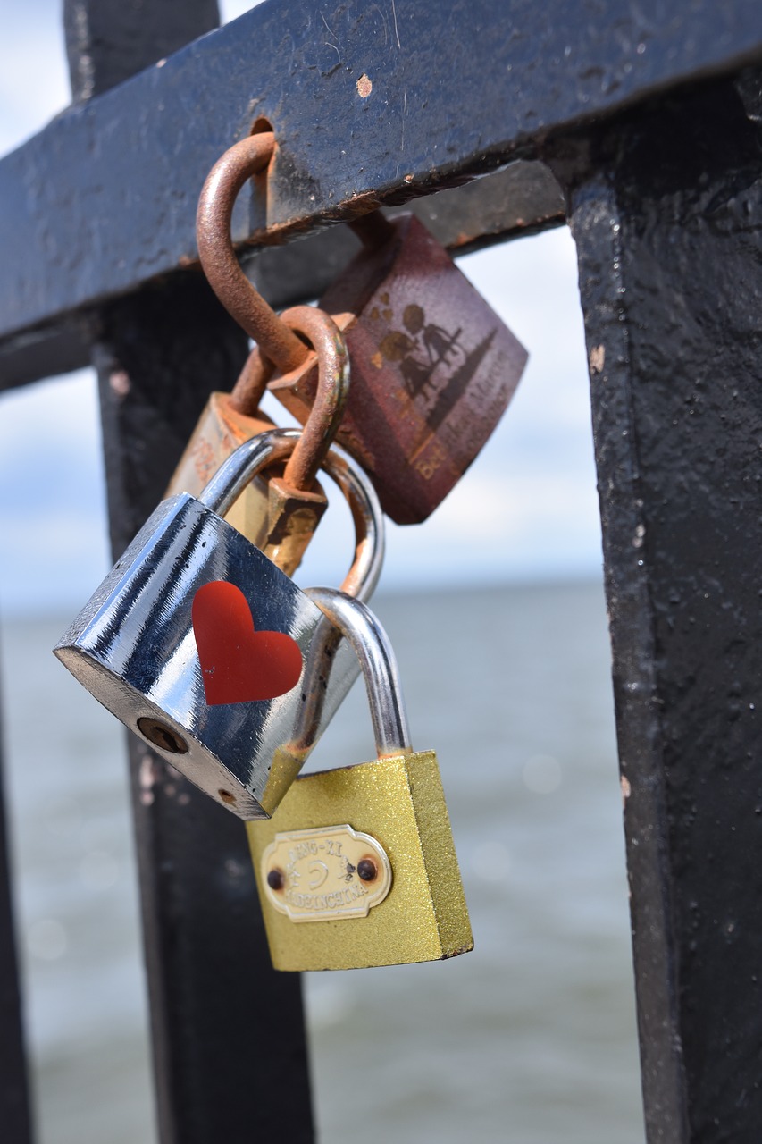 padlocks padlock of lovers the pier free photo