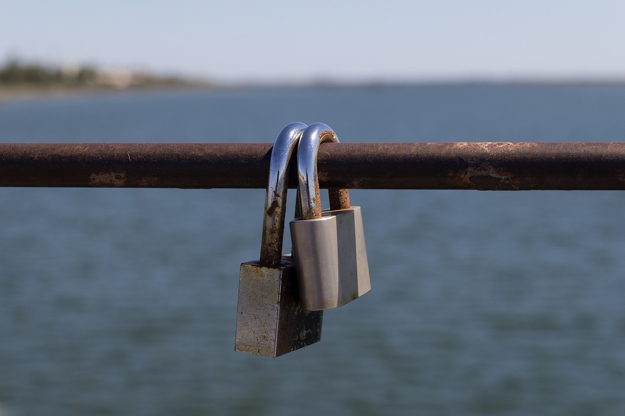 padlocks commitment link free photo