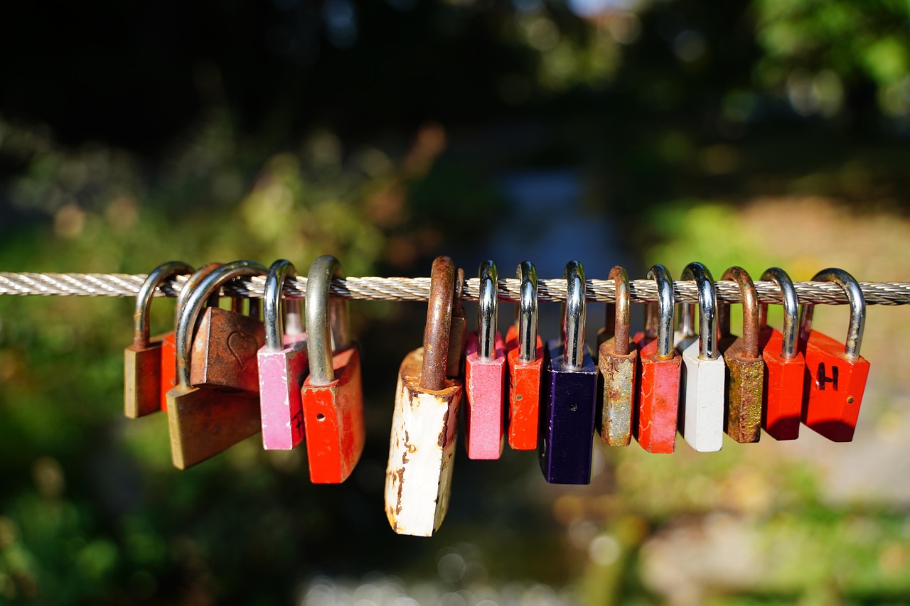 padlocks  castles  valentine's day free photo