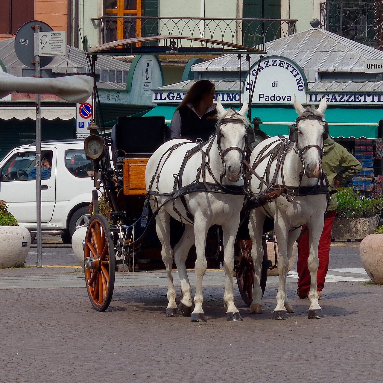 padova piazza downtown free photo