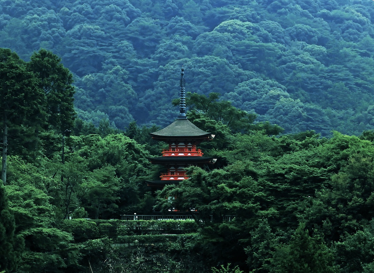 pagoda japan forest free photo